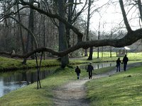 NL, Noord-Holland, Haarlem, Elswout 13, Saxifraga-Marijke Verhagen