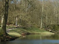 NL, Noord-Holland, Haarlem, Elswout 9, Saxifraga-Marijke Verhagen