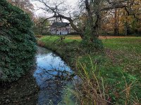 NL, Zuid-Holland, Rijswijk, Overvoorde 2, Saxifraga-Dirk Hilbers