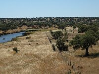 E, Caceres, La Aldea del Obispo, Rio Tozo 4, Saxifraga-Jan van der Straaten