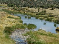 E, Caceres, La Aldea del Obispo, Rio Tozo 5, Saxifraga-Jan van der Straaten
