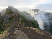 P, Madeira, Santana, Pico do Arieiro 7, Saxifraga-Mark Zekhuis