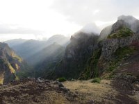 P, Madeira, Santana, Pico do Arieiro 8, Saxifraga-Mark Zekhuis