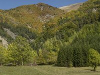 F, Isere, Chantelouve, Col d Ornon 2, Saxifraga-Jan van der Straaten