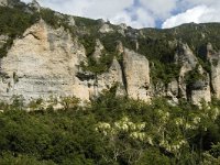 F, Lozere, Florac, Causse de Mejean 19, Saxifraga-Marijke Verhagen