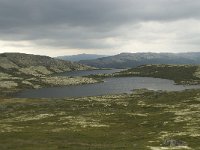 N, Oppland, Sel, Harrtjonnin 1, Saxifraga-Willem van Kruijsbergen