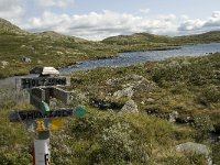 N, Oppland, Sel, Holtjonne 2, Saxifraga-Willem van Kruijsbergen