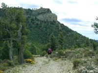 E, Teruel, Mora de Rubielos 6, Saxifraga-Jan van der Straaten