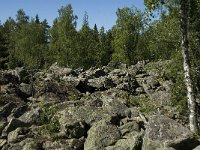 S, Gavleborgs lan, Hudiksvall, Holick 4, Saxifraga-Jan van der Straaten