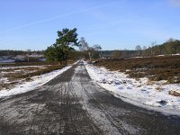 NL, Gelderland, Apeldoorn, Loenermark 18, Saxifraga-Henk Sierdsema