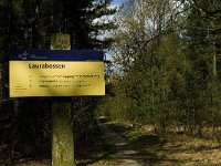 NL, Limburg, Weert, Laurabossen 12, Saxifraga-Jan van der Straaten