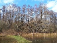 NL, Noord-Brabant, Heeze-Leende, Rulse Dijk 1, Saxifraga-Tom Heijnen