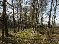 B, Limburg, Kinrooi, Hasselterbroek 5, Saxifraga-Jan van der Straaten