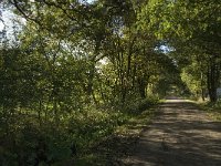 B, Limburg, Kinrooi, Zuurbeekvallei 21, Saxifraga-Jan van der Straaten