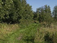 B, Limburg, Maaseik, Langeren 2, Saxifraga-Jan van der Straaten