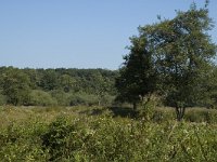 B, Limburg, Maaseik, Toesch 34, Saxifraga-Marijke Verhagen