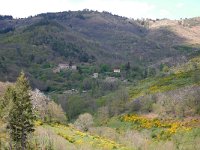 F, Ardeche, Saint-Genest-Lachamp, Chemin de Bougnard 2, Saxifraga-Tom Heijnen