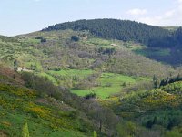 F, Ardeche, Saint-Genest-Lachamp, Chemin de Bougnard 5, Saxifraga-Tom Heijnen