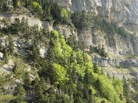 F, Drome, Treschenu-Creyers, Roche de Combeau 1, Saxifraga-Marijke Verhagen