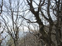 F, Vaucluse, Bedoin, Mont Ventoux 35, Saxifraga-Willem van Kruijsbergen