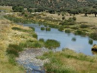 E, Caceres, La Aldea del Obispo, Rio Tozo 5, Saxifraga-Jan van der Straaten