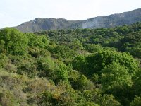 E, Cadiz, Jimena de la Frontera, Alcornocales 9, Saxifraga-Dirk Hilbers