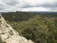 E, Malaga, Cortes de la Frontera, La Sauceda 5, Saxifraga-Willem van Kruijsbergen