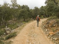 E, Malaga, El Burgo, Sierra de las Nieves 3, Saxifraga-Jan van der Straaten