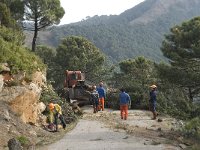 E, Malaga, Estepona, Puerto de Penas Blancas 1, Saxifraga-Jan van der Straaten