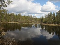 FI, Oulu, Kuusamo, Oulanka 7, Saxifraga-Dirk Hilbers