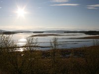 FIN, Lapland, Ivalo 2, Saxifraga-Dirk Hilbers