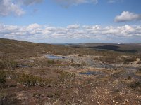 FIN, Lapland, Ivalo, Uhro Kekkonen 12, Saxifraga-Dirk Hilbers