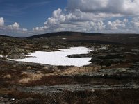 FIN, Lapland, Ivalo, Uhro Kekkonen 19, Saxifraga-Dirk Hilbers