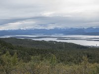 N, More og Romsdal, Molde, Tusenarsvarden 6, Saxifraga-Willem van Kruijsbergen