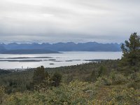 N, More og Romsdal, Molde, Tusenarsvarden 7, Saxifraga-Willem van Kruijsbergen