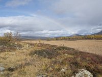 N, Oppland, Dovre, Fokstumyra 125, Saxifraga-Willem van Kruijsbergen