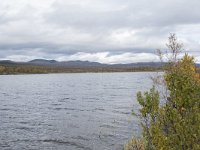 N, Oppland, Dovre, Fokstumyra 137, Saxifraga-Willem van Kruijsbergen