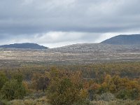 N, Oppland, Dovre, Fokstumyra 167, Saxifraga-Annemiek Bouwman