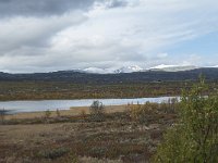 N, Oppland, Dovre, Valasjoen 16, Saxifraga-Annemiek Bouwman