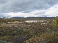 N, Oppland, Dovre, Valasjoen 18, Saxifraga-Annemiek Bouwman