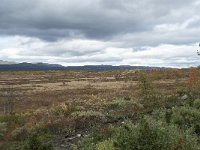 N, Oppland, Dovre, Valasjoen 19, Saxifraga-Annemiek Bouwman