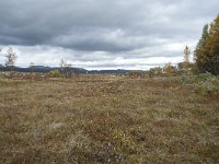 N, Oppland, Dovre, Valasjoen 21, Saxifraga-Annemiek Bouwman