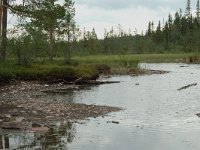 S, Dalarna, Sarna, National Park Fulufjallet, peat lake 3, Saxifraga-Willem van Kruijsbergen