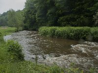 Wet alluvial forest-Nat rivierbegeleidend bos