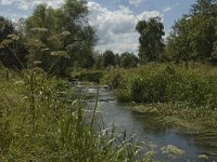 B, Limburg, Kinrooi, Abeek 4, Saxifraga-Marijke Verhagen