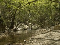 GR, Crete, Rethimnon, Patsos, Antonio Gorge 9, Saxifraga-Willem van Kruijsbergen