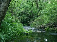 E, Cadiz, El Bosque, Rio El Bosque 1, Saxifraga-Dirk Hilbers