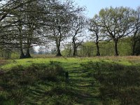 NL, Drenthe, Aa en Hunze, Drentsche Aa 41, Saxifraga-Hans Boll