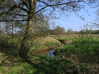 NL, Drenthe, Aa en Hunze, Drentsche Aa 45, Saxifraga-Hans Boll