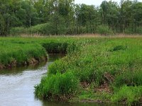 NL, Drenthe, Aa en Hunze, Drentsche Aa 57, Saxifraga-Hans Boll